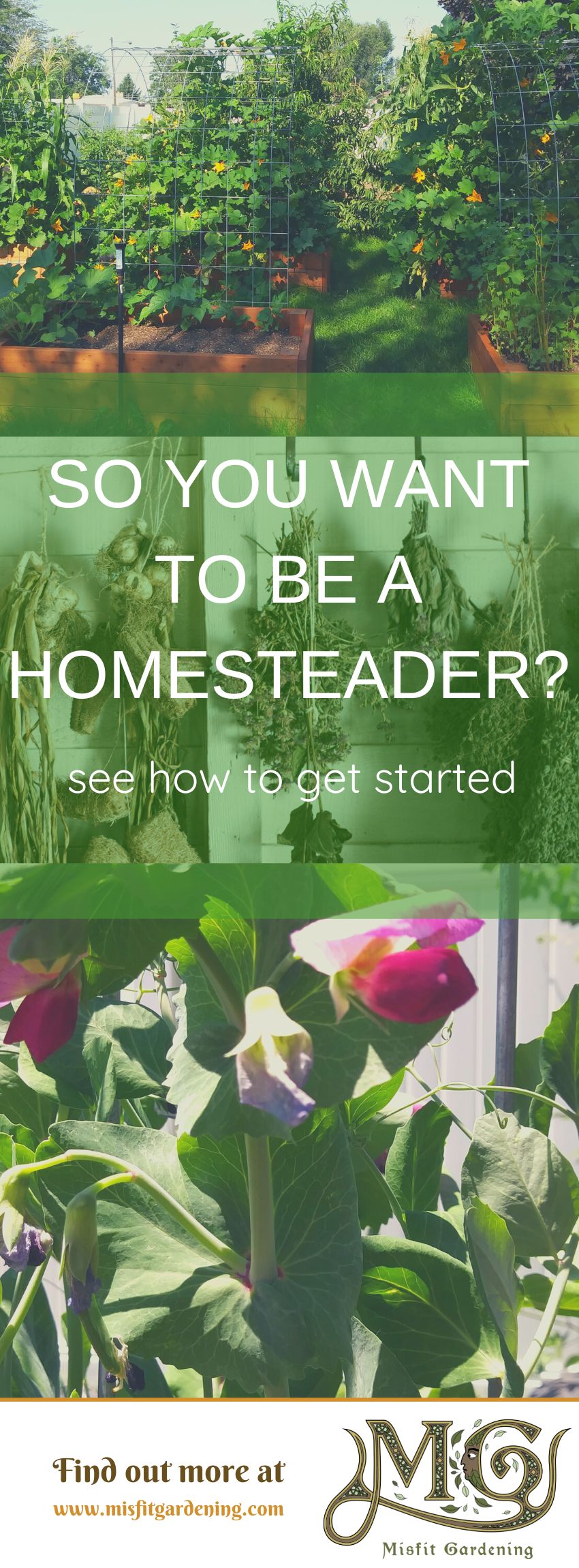 Click to learn how to start a homestead garden or pin it and save for later #homestead #gardening