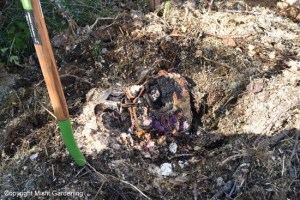 Why you have been composting wrong all along