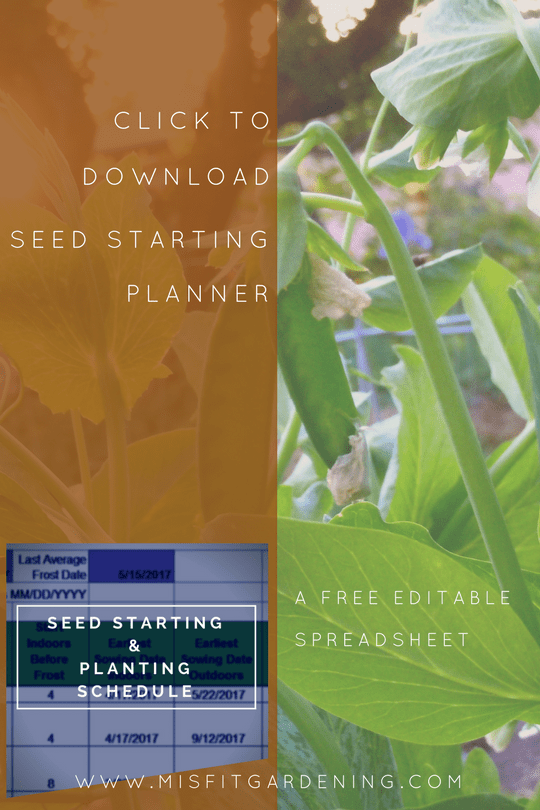when to plant vegetables