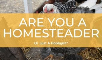 signs that you are are homesteader